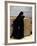 Woman Dressed in Black-Stefano Ussi-Framed Giclee Print