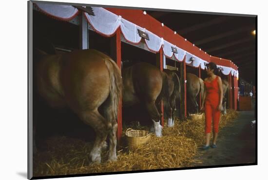 Woman Dressed in Red Walking Past Stalls of Clydesdale Horses at the Iowa State Fair, 1955-John Dominis-Mounted Photographic Print