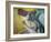 Woman Drying Herself-Edgar Degas-Framed Giclee Print