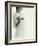 Woman Exercising-Cristina-Framed Photographic Print