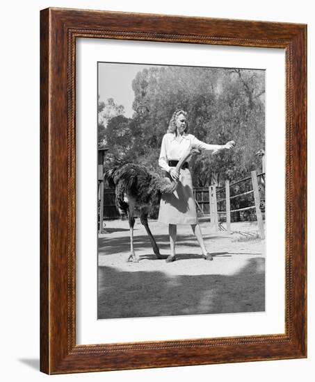 Woman Feeds Ostrich Orange on Farm-Philip Gendreau-Framed Photographic Print