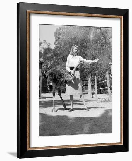 Woman Feeds Ostrich Orange on Farm-Philip Gendreau-Framed Photographic Print