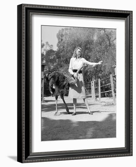 Woman Feeds Ostrich Orange on Farm-Philip Gendreau-Framed Photographic Print