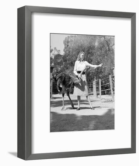 Woman Feeds Ostrich Orange on Farm-Philip Gendreau-Framed Photographic Print