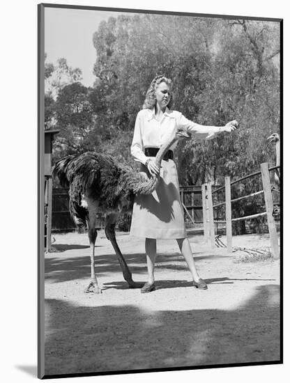 Woman Feeds Ostrich Orange on Farm-Philip Gendreau-Mounted Photographic Print