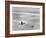 Woman Floating in a Large Puddle of Water Near the Surf While at the Beach-Wallace G^ Levison-Framed Photographic Print