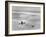 Woman Floating in a Large Puddle of Water Near the Surf While at the Beach-Wallace G^ Levison-Framed Photographic Print