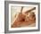 Woman Getting a Back Massage-null-Framed Photographic Print