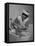 Woman Giving a Baby a Bath at a Nursery-null-Framed Premier Image Canvas