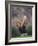 Woman Golfer in Action-Chris Trotman-Framed Photographic Print