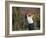 Woman Golfer in Action-Chris Trotman-Framed Photographic Print