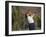 Woman Golfer in Action-Chris Trotman-Framed Photographic Print