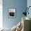 Woman Hanging Wash in a Dublin Slum-Tony Linck-Framed Photographic Print displayed on a wall