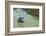 Woman Harvesting, Rice Terraces of Banaue, Northern Luzon, Philippines, Southeast Asia, Asia-Michael Runkel-Framed Photographic Print