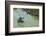 Woman Harvesting, Rice Terraces of Banaue, Northern Luzon, Philippines, Southeast Asia, Asia-Michael Runkel-Framed Photographic Print