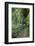 Woman Hiking in the Forest of Cubo De La Galga, Biosphere Reserve Los Tilos, Canary Islands-Gerhard Wild-Framed Photographic Print