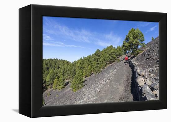 Woman Hiking in the Volcano Landscape of the Nature Reserve Cumbre Vieja, La Palma, Spain-Gerhard Wild-Framed Premier Image Canvas