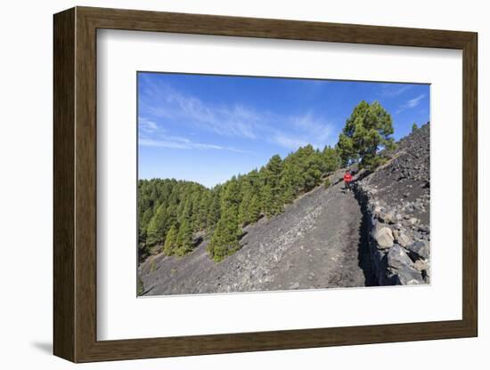 Woman Hiking in the Volcano Landscape of the Nature Reserve Cumbre Vieja, La Palma, Spain-Gerhard Wild-Framed Photographic Print