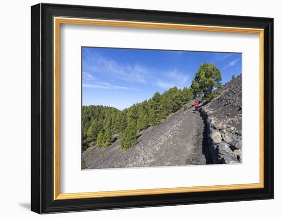 Woman Hiking in the Volcano Landscape of the Nature Reserve Cumbre Vieja, La Palma, Spain-Gerhard Wild-Framed Photographic Print