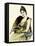 Woman Holding a Fan 1889-null-Framed Stretched Canvas