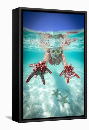 Woman holding two red starfish snorkeling in the turquoise sea in summer, Zanzibar, Tanzania-Roberto Moiola-Framed Premier Image Canvas