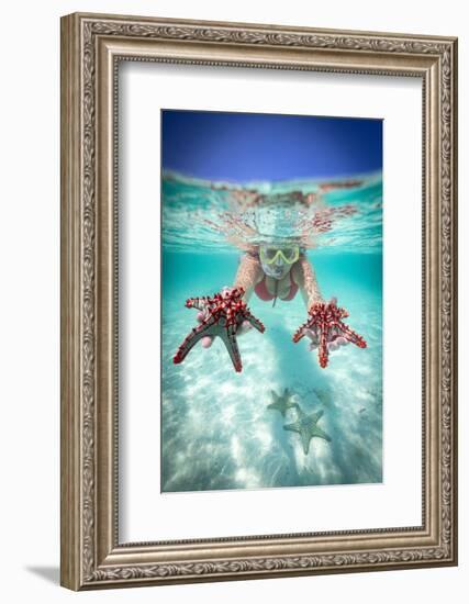 Woman holding two red starfish snorkeling in the turquoise sea in summer, Zanzibar, Tanzania-Roberto Moiola-Framed Photographic Print