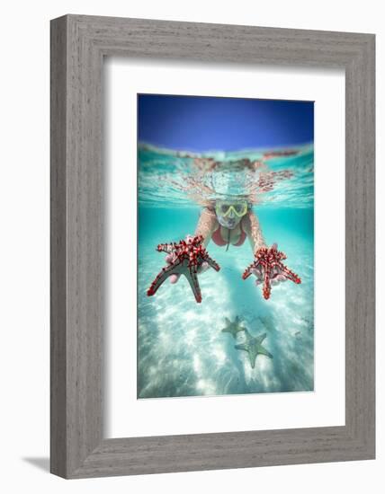 Woman holding two red starfish snorkeling in the turquoise sea in summer, Zanzibar, Tanzania-Roberto Moiola-Framed Photographic Print