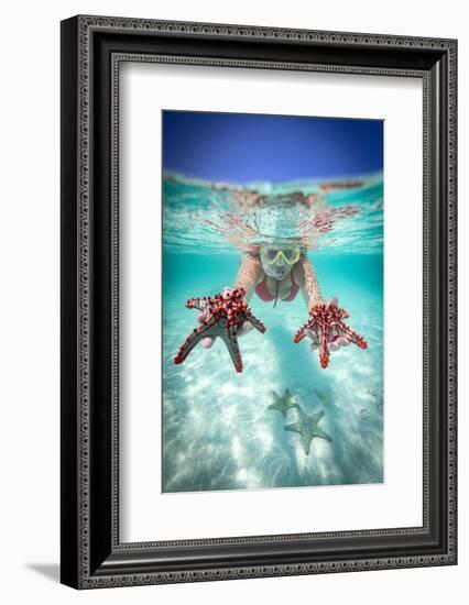Woman holding two red starfish snorkeling in the turquoise sea in summer, Zanzibar, Tanzania-Roberto Moiola-Framed Photographic Print