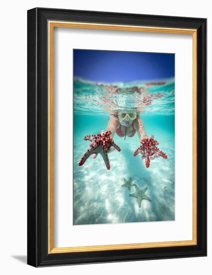 Woman holding two red starfish snorkeling in the turquoise sea in summer, Zanzibar, Tanzania-Roberto Moiola-Framed Photographic Print