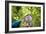 Woman Holds Out Her Breakfast Of Oats And Wild Huckleberries While Backpacking During The Summer-Hannah Dewey-Framed Photographic Print