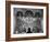 Woman in a Church Contemplating a Wall Painting of the Crucifixion-Carl Mydans-Framed Photographic Print