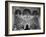 Woman in a Church Contemplating a Wall Painting of the Crucifixion-Carl Mydans-Framed Photographic Print