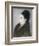 Woman in a Fur Coat in Profile, 1879-Edouard Manet-Framed Giclee Print