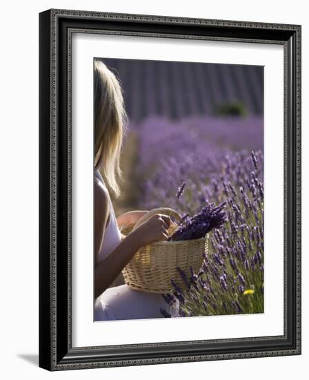 Woman in a Lavender Field, Provence, France, Europe-Angelo Cavalli-Framed Photographic Print