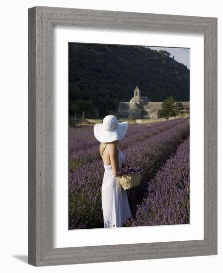 Woman in a Lavender Field, Senanque Abbey, Gordes, Provence, France, Europe-Angelo Cavalli-Framed Photographic Print