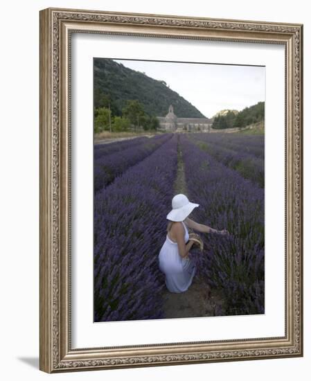 Woman in a Lavender Field, Senanque Abbey, Gordes, Provence, France, Europe-Angelo Cavalli-Framed Photographic Print