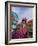 Woman in Costume For the Annual Carnival Festival, Burano Island, Venice, Italy-Jim Zuckerman-Framed Photographic Print