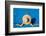 Woman in Hat Relaxing at the Pool-haveseen-Framed Photographic Print