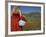 Woman in Poppy Field, Castelluccio Di Norcia, Norcia, Umbria, Italy, Europe-Angelo Cavalli-Framed Photographic Print