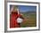 Woman in Poppy Field, Castelluccio Di Norcia, Norcia, Umbria, Italy, Europe-Angelo Cavalli-Framed Photographic Print