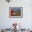 Woman in Poppy Field, Castelluccio Di Norcia, Norcia, Umbria, Italy, Europe-Angelo Cavalli-Framed Photographic Print displayed on a wall