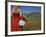 Woman in Poppy Field, Castelluccio Di Norcia, Norcia, Umbria, Italy, Europe-Angelo Cavalli-Framed Photographic Print