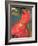 Woman in Red Dress, 1891-Paul Gauguin-Framed Giclee Print