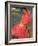 Woman in Red Dress, 1891-Paul Gauguin-Framed Giclee Print