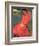 Woman in Red Dress, 1891-Paul Gauguin-Framed Giclee Print