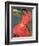 Woman in Red Dress, 1891-Paul Gauguin-Framed Giclee Print