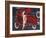 Woman in Red-Miguel Garigliano-Framed Giclee Print