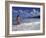 Woman in Surf, British Virgin Islands, Caribbean-Greg Johnston-Framed Photographic Print