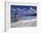 Woman in Surf, British Virgin Islands, Caribbean-Greg Johnston-Framed Photographic Print