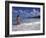 Woman in Surf, British Virgin Islands, Caribbean-Greg Johnston-Framed Photographic Print